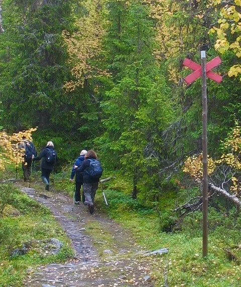 Saxnäs